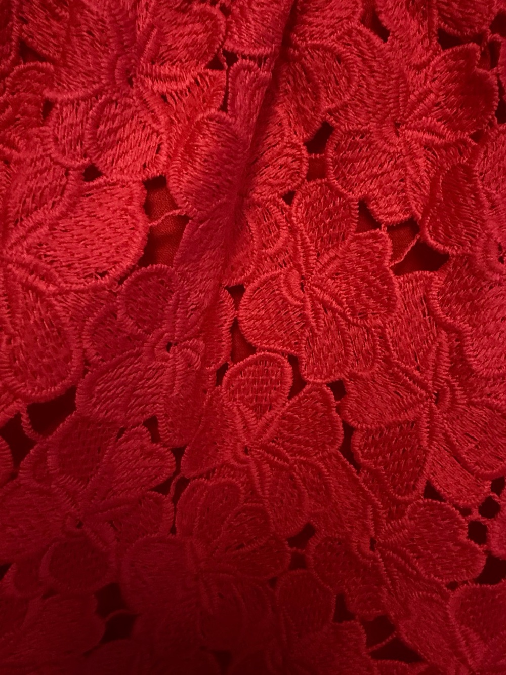 Tuckernuck Catalina red lace blouse with lining XXL - Picture 9 of 10